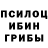 Псилоцибиновые грибы мухоморы shakirova gula