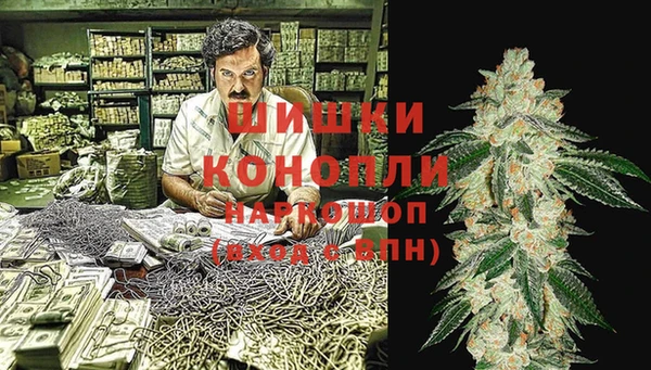 МДПВ Алексин