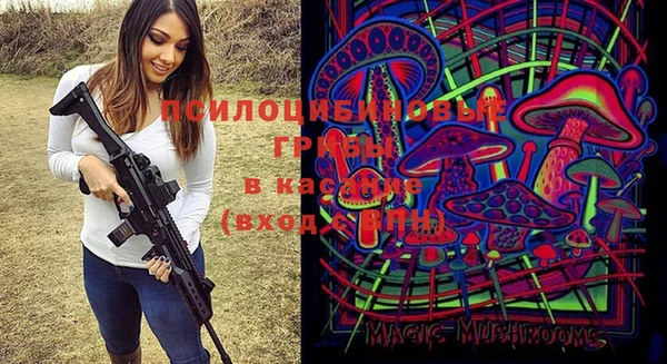 МДПВ Алексин