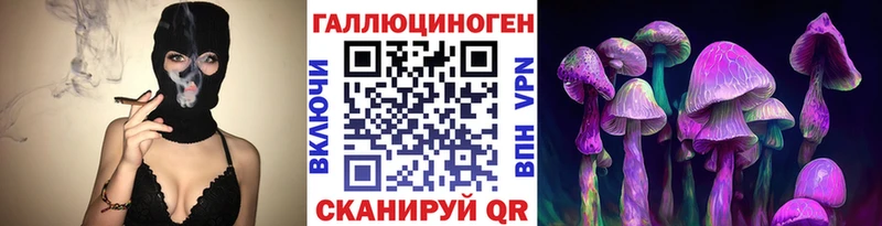 Галлюциногенные грибы Psilocybine cubensis  Белгород 